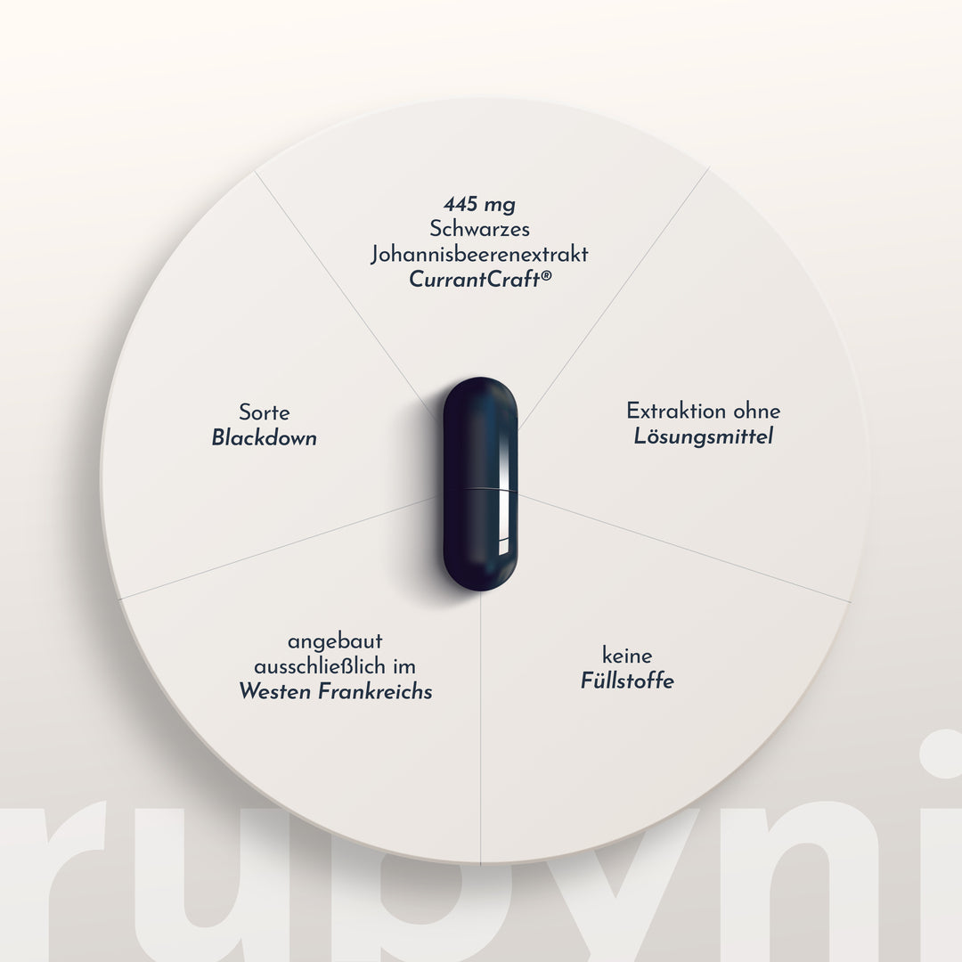 rubyni® Schwarze Johannisbeere